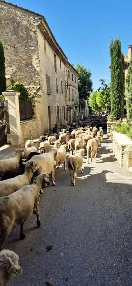 Chambres D'Hotes Le Relais Des Marmottes Lagnes Kültér fotó